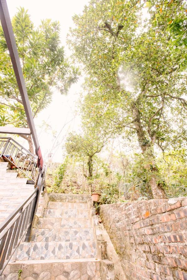 Creekside And Tours Homestay